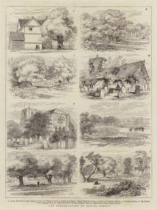 La preservación del bosque de Epping
